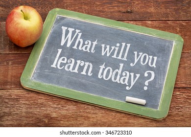 1,526 What Will You Learn Images, Stock Photos & Vectors | Shutterstock