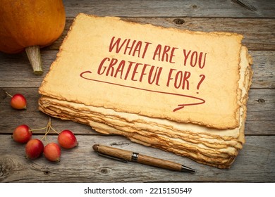What are you grateful for? Handwritten question on a stack of handmade paper with rough edges against rustic weathered wood with pumpkin and crab apples, Thanksgiving theme - Shutterstock ID 2215150549