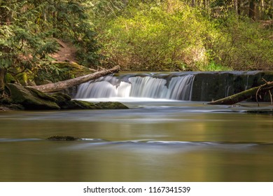 Whatcom Falls Bellingham, Washington