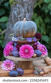 whatnot with pumpkin, pink dahlias and plums as autumn arrangement - Shutterstock ID 2358245691