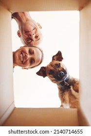 Its Whats Inside That Counts. Low Angle Portrait Of A Happy Couple And Their Dog Looking Into A Box Together.