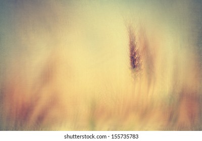 wheat