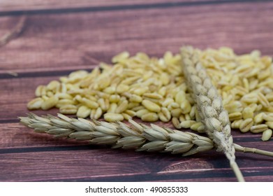 Wheat