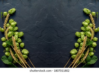 Wheat beer concept background. Cones of hops and wheat ears arranged symmetrically on the black stone surface. Oktoberfest template with copy space. - Powered by Shutterstock