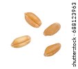 wheat seeds isolated