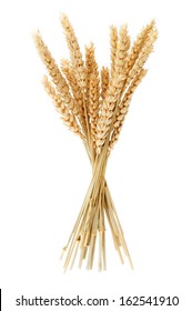 Wheat Bundle 