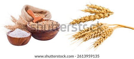 Wheat, Clipping Path, White Background Isolated