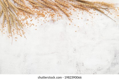 Wheat ears and wheat grains set up on white concrete background.