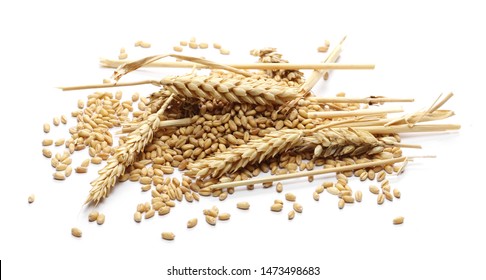 Wheat ears and kernels isolated on white background