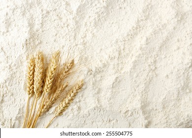 wheat ears on flour surface, full frame - Shutterstock ID 255504775