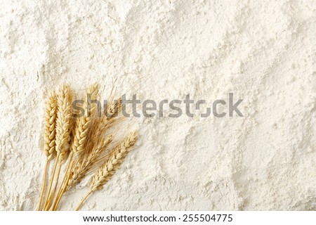 wheat ears on flour surface, full frame