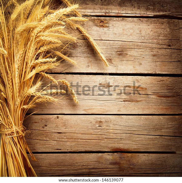 Wheat Ears on the Wooden Table. Sheaf of\
Wheat over Wood Background. Harvest\
concept