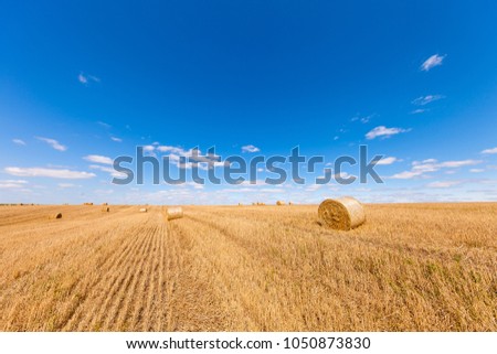 Similar – yellow straw bales on field