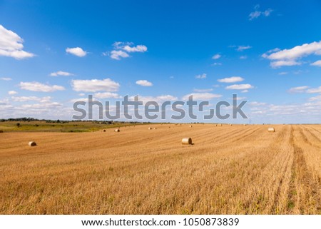 Similar – Image, Stock Photo Landscape with meadows, fields and trees in morning sun and fog