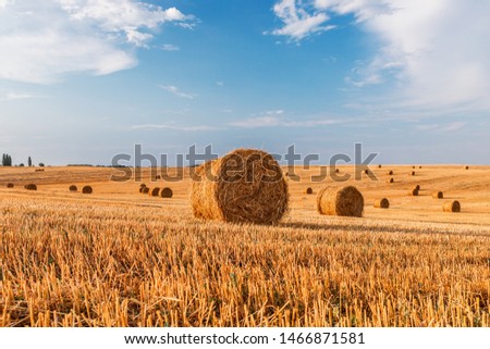 Similar – yellow straw bales on field