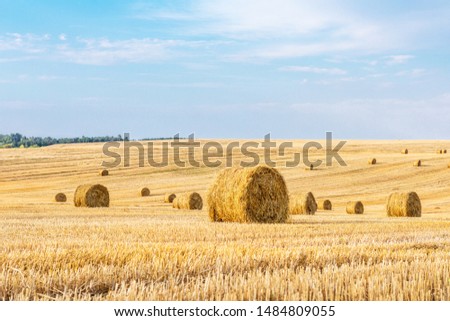 Similar – yellow straw bales on field