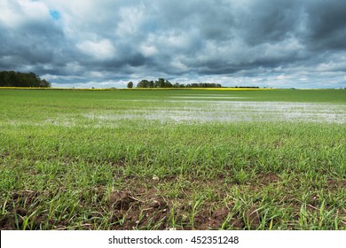 Foto, immagini e foto stock a tema Field+rain | Shutterstock