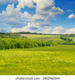 Wheat field and beautiful blue sky - Shutterstock ID 1802960344