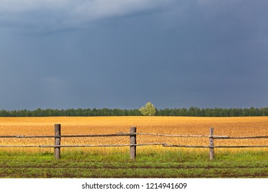 Wheat field behind the fence against the stormy sky - Shutterstock ID 1214941609
