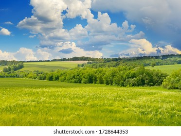 Wheat field and blue sky - Shutterstock ID 1728644353