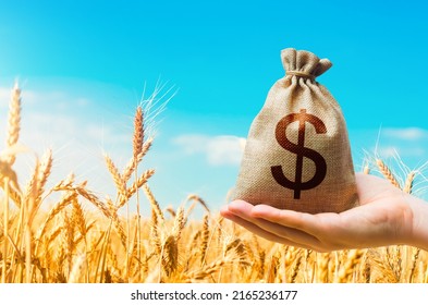 Wheat field and dollar money bag. Agroindustry and the agricultural business. World food security crisis, high prices. World hunger. Grains and cereals deficits, livestock feed. Starvation and famine