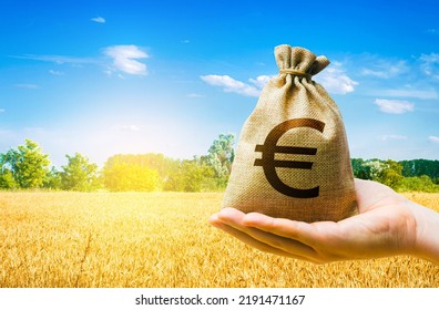 Wheat Field And Euro Money Bag. Food Security And Fight Against Hunger. Agroindustry Business. Investments In Agricultural Complex. Profit Buy Deal. Stock Market Futures. Starvation And Famine.