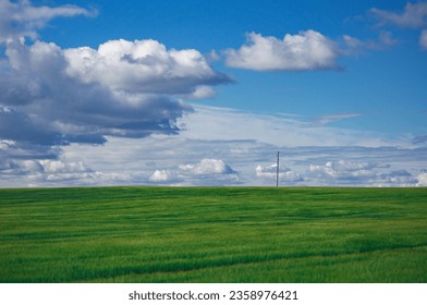Wheat field as good as Windows XP original wallpaper