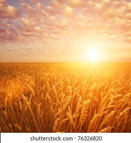 Wheat Field Over Cloudy Sky