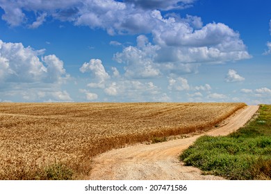 Wheat Field With A Road