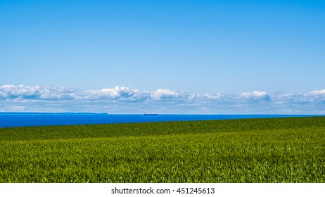 Wheat Field Sea And Coastal Trading Vessels As Seen On Bornholm In June