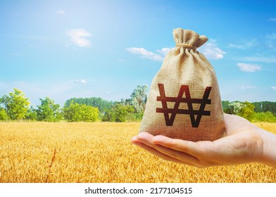 Wheat field and south korean won money bag. Food security and fight against hunger. World starvation. Investments in agricultural complex. Profit buy deal. Stock market futures. Agroindustry business.