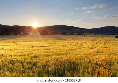 Wheat Field With Sun