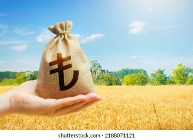 Wheat field and turkish lira money bag. Agroindustry business. Starvation and famine. Investments in agricultural complex. Profit buy deal. Food security and fight against hunger. Stock market futures