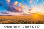 a wheat field under a dramatic sunset, with soft clouds and warm hues