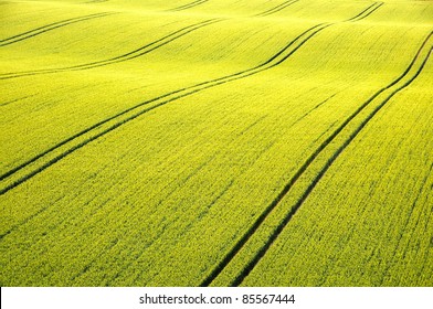 844,988 Fields of wheat Images, Stock Photos & Vectors | Shutterstock