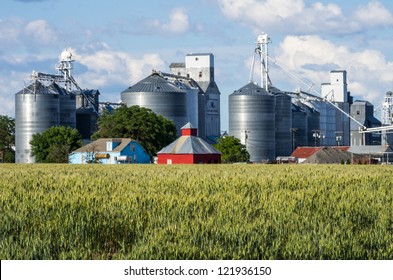 Wheat Fields Around A Grain Elevator And Silos