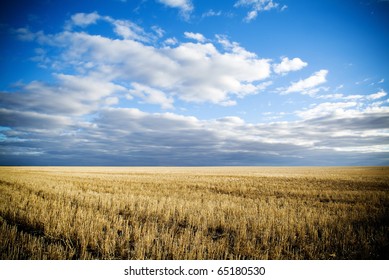 Wheat Fields In Rural Australia After Harvest.