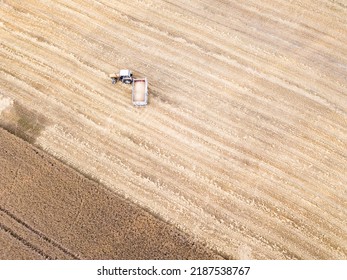 Wheat fieldt with farmer in tractor colecting grain. Agriculture industry harvest background.