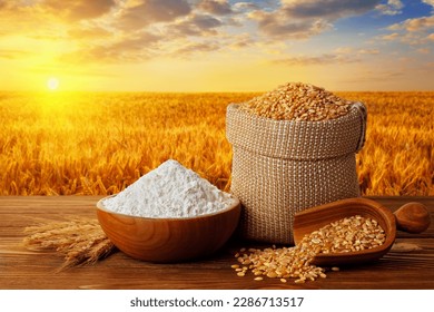 wheat flour in bowl and grains in burlap sack on table with ripe cereal field on sunset as background - Powered by Shutterstock