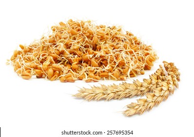 wheat germ and ears isolated on white