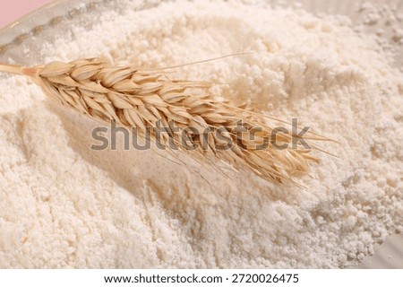Wheat grain and flour in studio setup, ideal for baking, gluten-free, and food industry concepts. Indoor product photography.