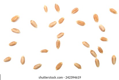 Wheat Grain Isolated On White Background