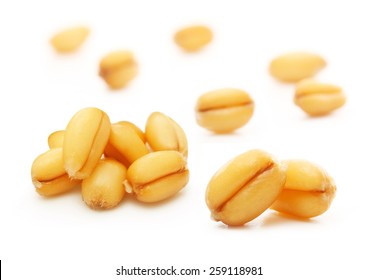 Wheat Grain Isolated On White Background