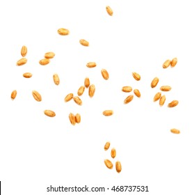 Wheat Grain Isolated On A White Background