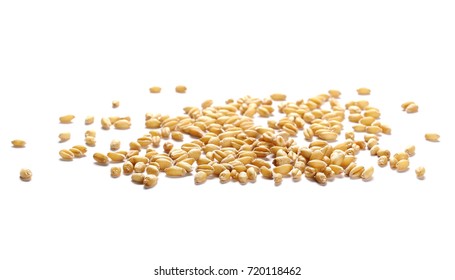 Wheat Grain Isolated On White Background