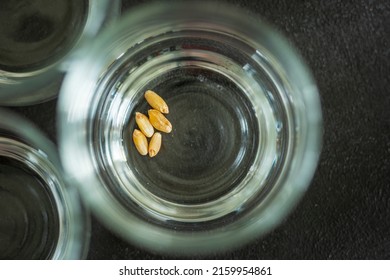 Wheat Grain Leftovers Inside Glass Jar Storage Container Closeup