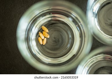 Wheat Grain Leftovers Inside Glass Jar Storage Container Closeup