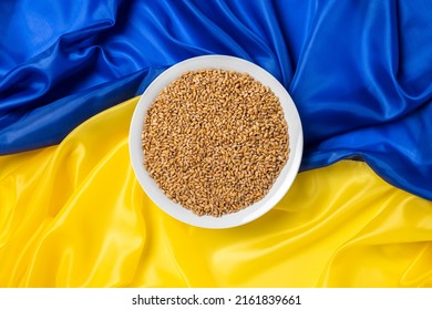 Wheat grains in bowl or plate on yellow and blue Ukrainian flag as background. Concept of food supply crisis and global food scarcity because of war in Ukraine.