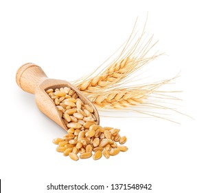 Wheat Grains And Ears Isolated On White