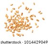 grains isolated